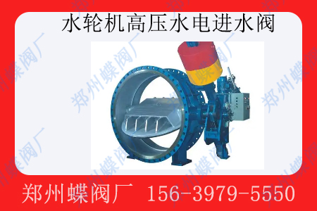<strong>水輪機(jī)高壓水電進(jìn)水閥通常用于什么場景</strong>